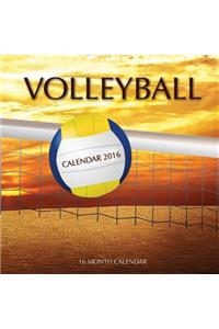 Volleyball Calendar 2016