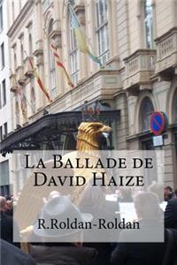 La Ballade de David Haize