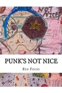 Punk's Not Nice