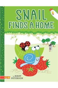 Snail Finds a Home