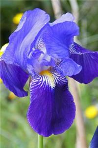 Blue Iris Flower Journal