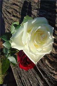 Red Rose, White Rose Flower Journal