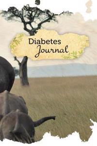 Diabetes Journal