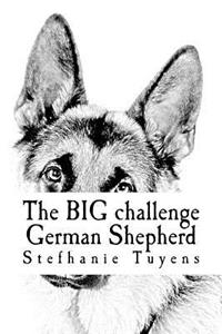 The BIG challenge German Shepherd