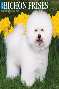 Just Bichons Frises 2023 Wall Calendar