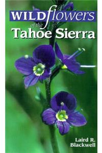 Wildflowers of the Tahoe Sierra