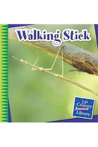 Walking Stick