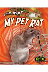 My Pet Rat