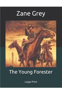 The Young Forester