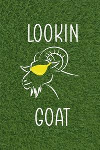 Lookin' Goat