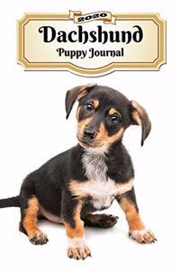 2020 Dachshund Puppy Journal