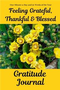 Feeling Grateful, Thankful & Blessed Gratitude Journal