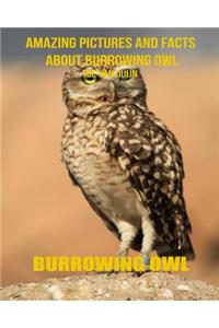 Burrowing Owl: Amazing Pictures and Facts about Burrowing Owl