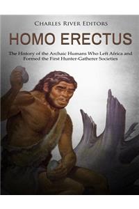 Homo erectus