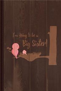 I'm Going to Be a Big Sister Journal Notebook: Blank Lined Ruled for Writing 6x9 110 Pages