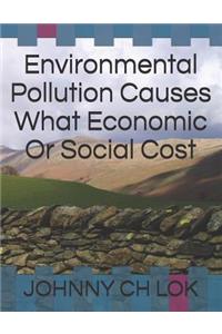 Environmental Pollution Causes What Economic Or Social Cost