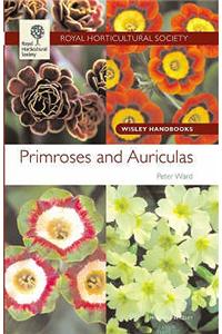 Primroses and Auriculas