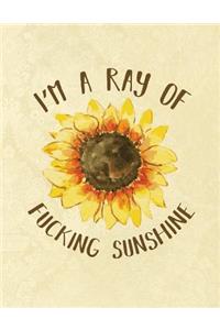 I'm a Ray of Fucking Sunshine: A Sweary Bullet Journal 8.5 X 11 Notebook Planner Organizer