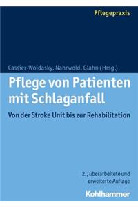 Pflege Von Patienten Mit Schlaganfall