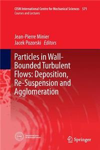 Particles in Wall-Bounded Turbulent Flows: Deposition, Re-Suspension and Agglomeration