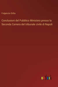 Conclusioni del Pubblico Ministero presso la Seconda Camera del tribunale civile di Napoli
