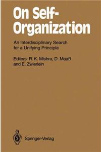 On Self-Organization