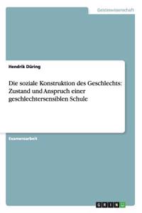 soziale Konstruktion des Geschlechts