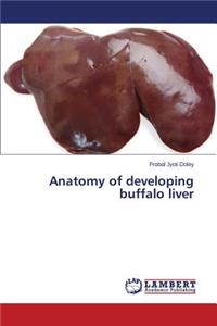 Anatomy of Developing Buffalo Liver