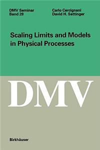 Scaling Limits and Models in Physical Processes