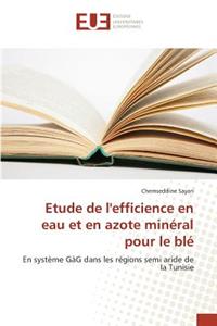 Etude de l'Efficience En Eau Et En Azote Minéral Pour Le Blé