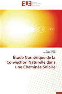 Étude Numérique de la Convection Naturelle Dans Une Cheminée Solaire