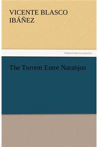 The Torrent Entre Naranjos