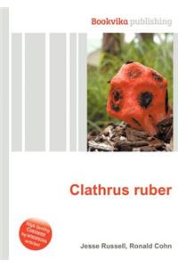 Clathrus Ruber