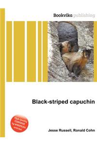 Black-Striped Capuchin