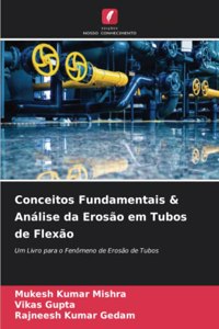 Conceitos Fundamentais & Análise da Erosão em Tubos de Flexão