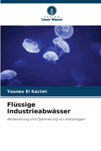 Flüssige Industrieabwässer