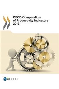 OECD Compendium of Productivity Indicators 2013