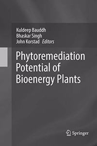 Phytoremediation Potential of Bioenergy Plants