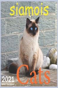 siamois Cats