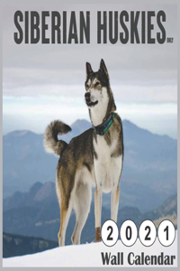 Siberian Huskies Only 2021 Wall Calendars