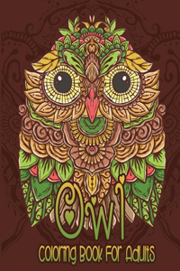 Owl Coloring Book For Adults