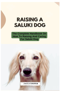 Raising a Saluki Dog