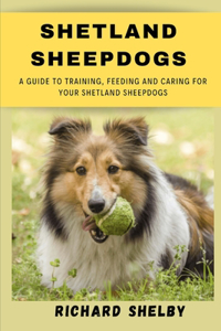 Shetland sheepdogs