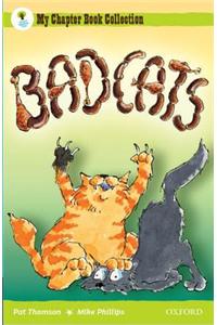 Oxford Reading Tree: All Stars: Pack 2A: Bad Cats