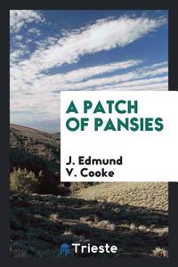 A Patch of Pansies