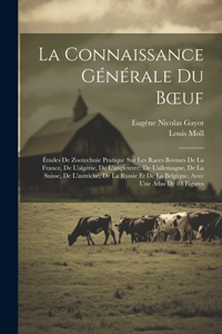 La Connaissance Générale Du Boeuf