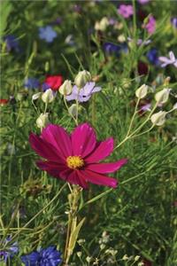 Wildflowers Notebook