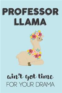 Professor Llama Aint Got Time For Your Drama