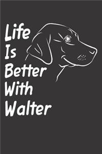 Life Is Better With Walter