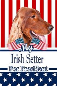 My Irish Setter for President